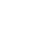 phone_icon